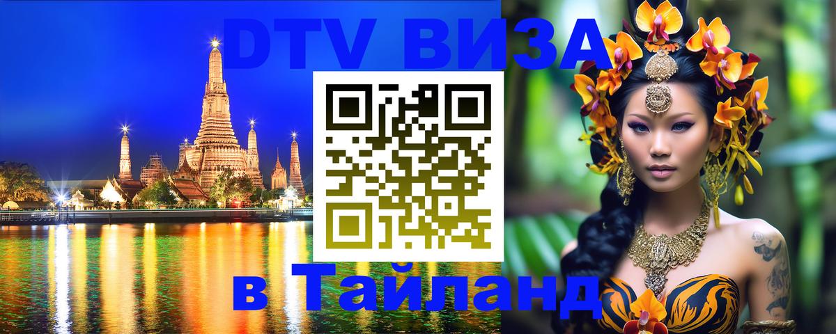 Сколько стоит DTV виза — актуальные цены, оформление даже без документов - 18.11.2025 